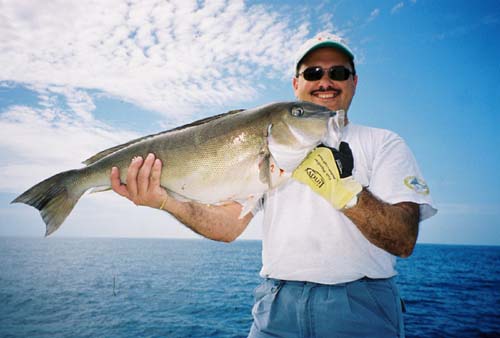 Блог о рыбалке ⚡ Снасти методы лова лайфхаки секреты премудрости